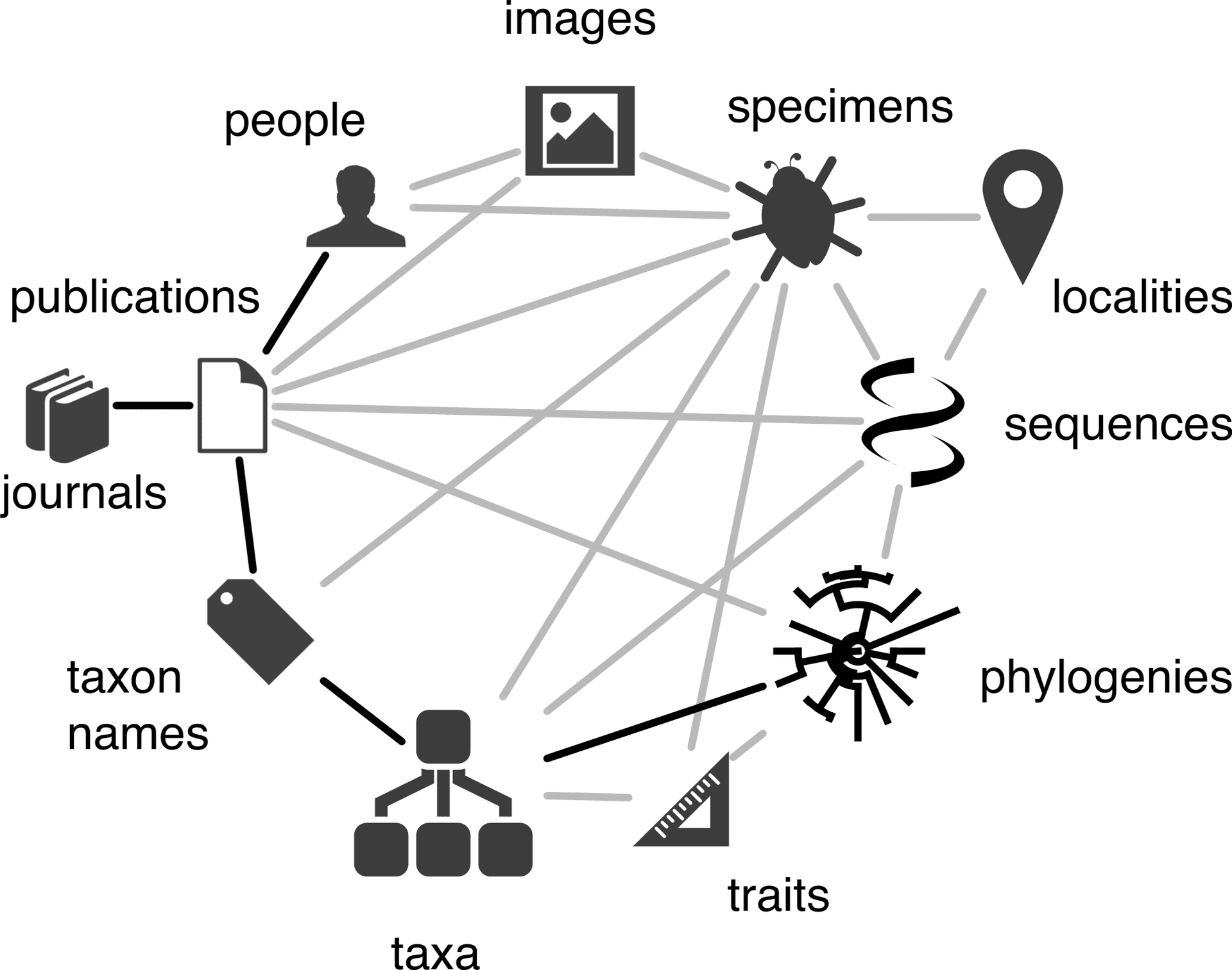 A biodiversity knowledge graph by Rod Page